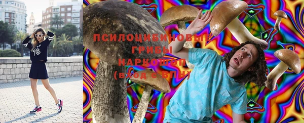 сатива Арсеньев