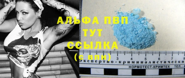 сатива Арсеньев